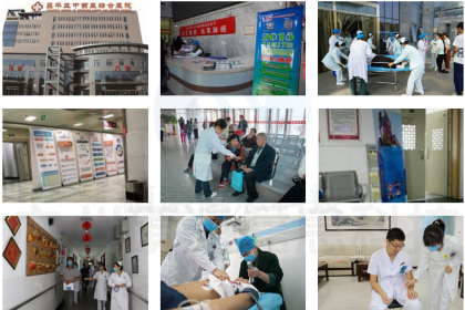 北京市昌平区中西医结合医院使用医院信息发布系统